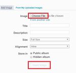 insert image 2 (1).jpg