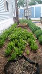 20160530_195640.jpg