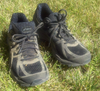 shoes.png