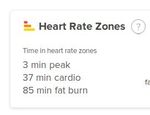 Heart Rates.jpg