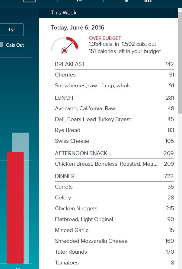 Calories Over Under Capture Fitbit.JPG