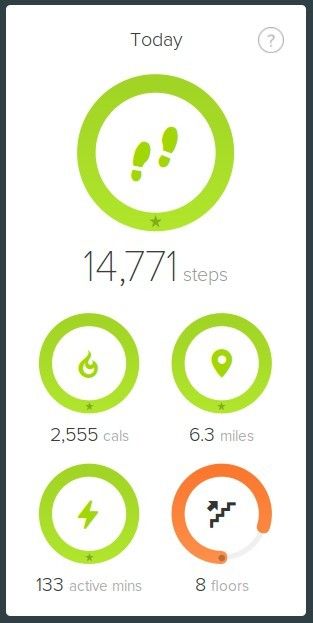 Day Activity 160608.jpg