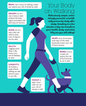 Your Body on Walking.png