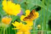 DSC_0007-4x6.jpg