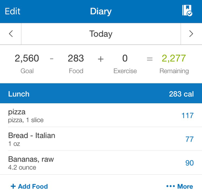 mfp_diary.png