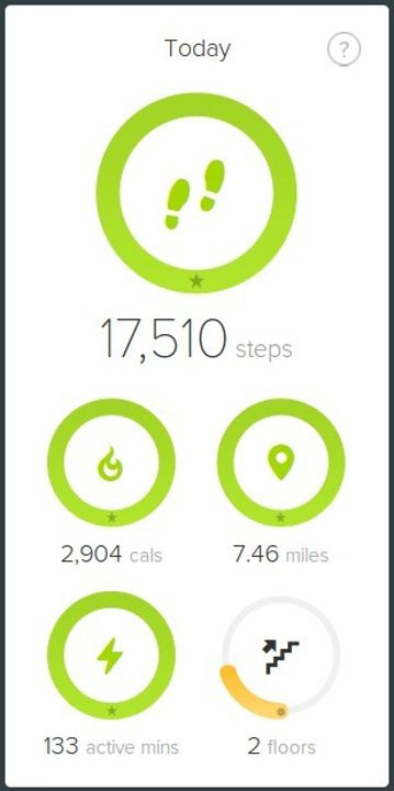 Day Activity 160625.jpg