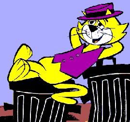 Top_Cat-1-.jpg