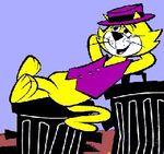 Top_Cat-1-.jpg