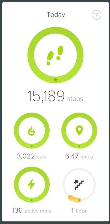 Day Activity 160702.jpg