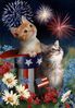 7-4-12-patriotic-american-cats-funny-photos-cute11.jpg