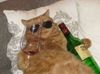 cat-wine-4.jpg
