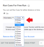 runcuesS.png