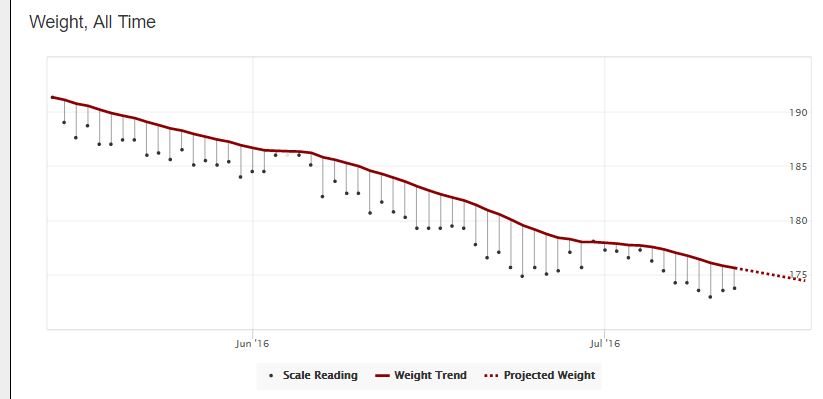 atwweight.JPG