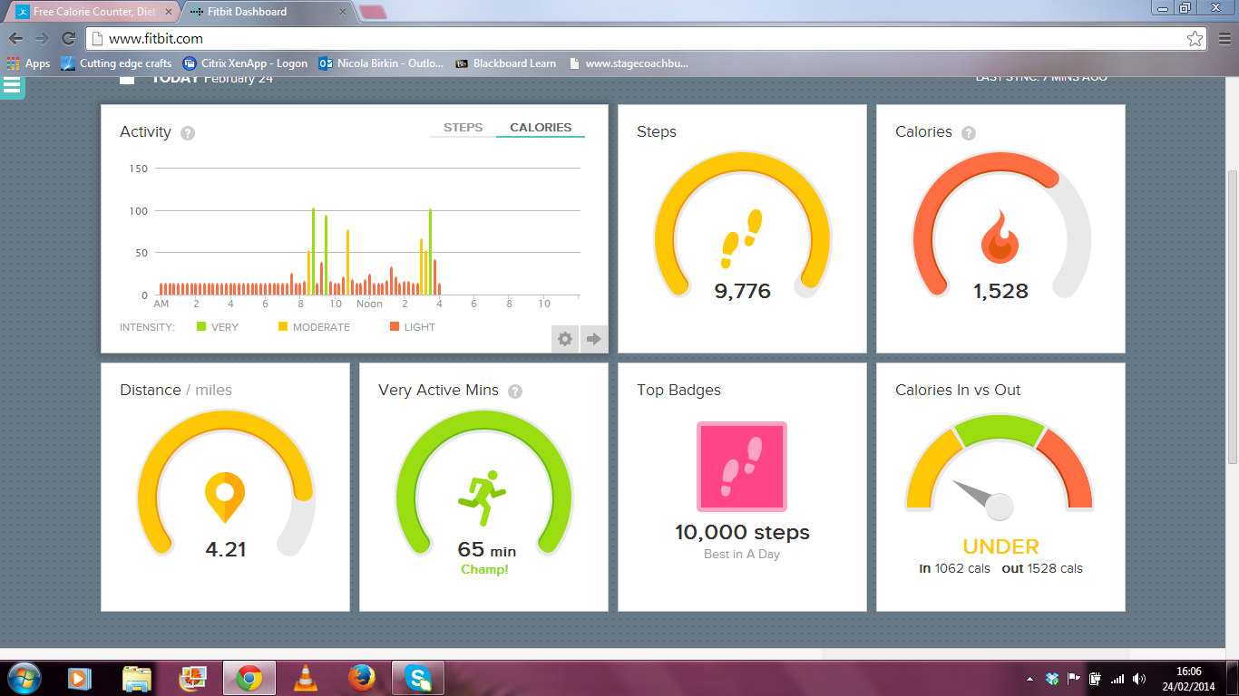 fitbit food calorie counter