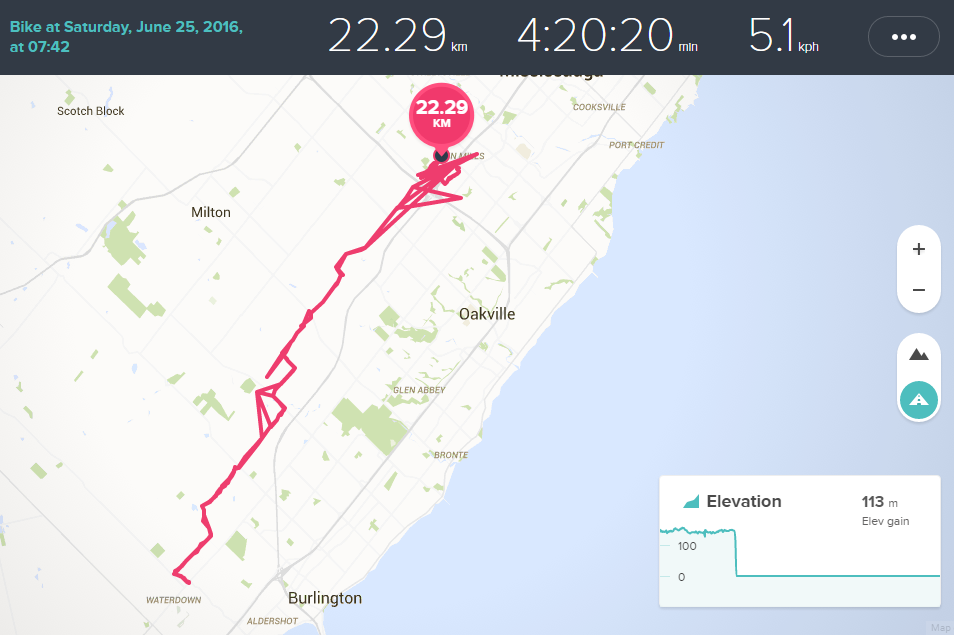 fitbit.png