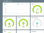 Fitbit Dashboard.png