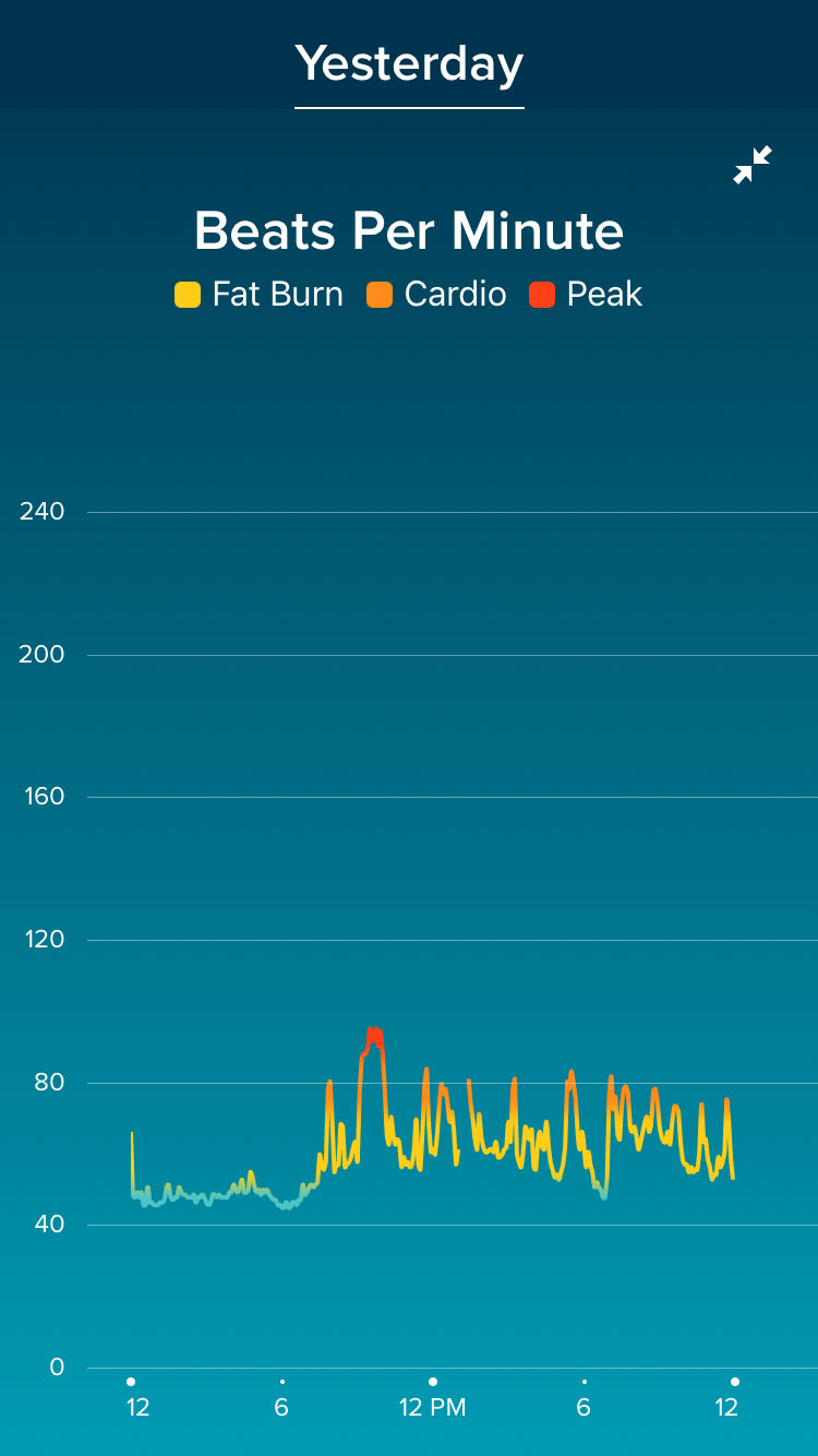 IMG_0400_Fitbit01.jpg