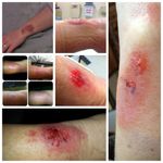 fa83e1853b0649f3b6cfe771cb4cc346.jpg