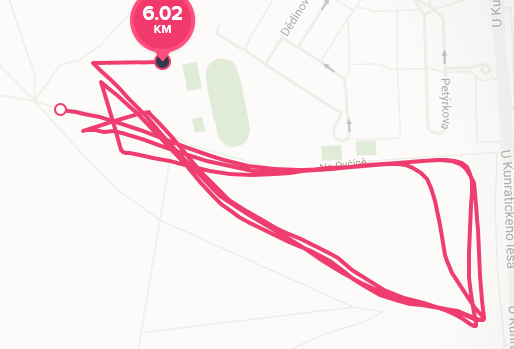 RunFitbit.png