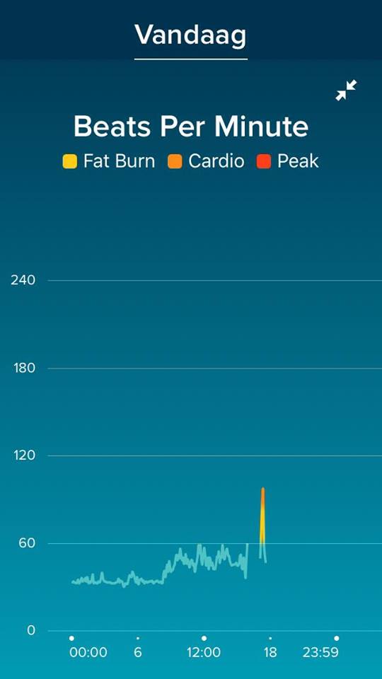 heart rate graph 2.jpg