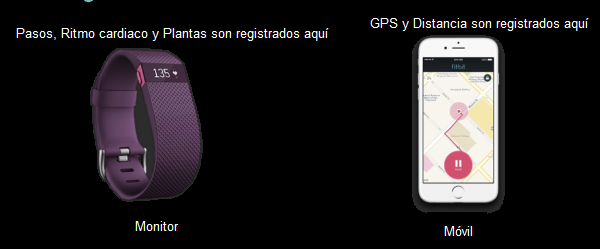MobileRun2.png
