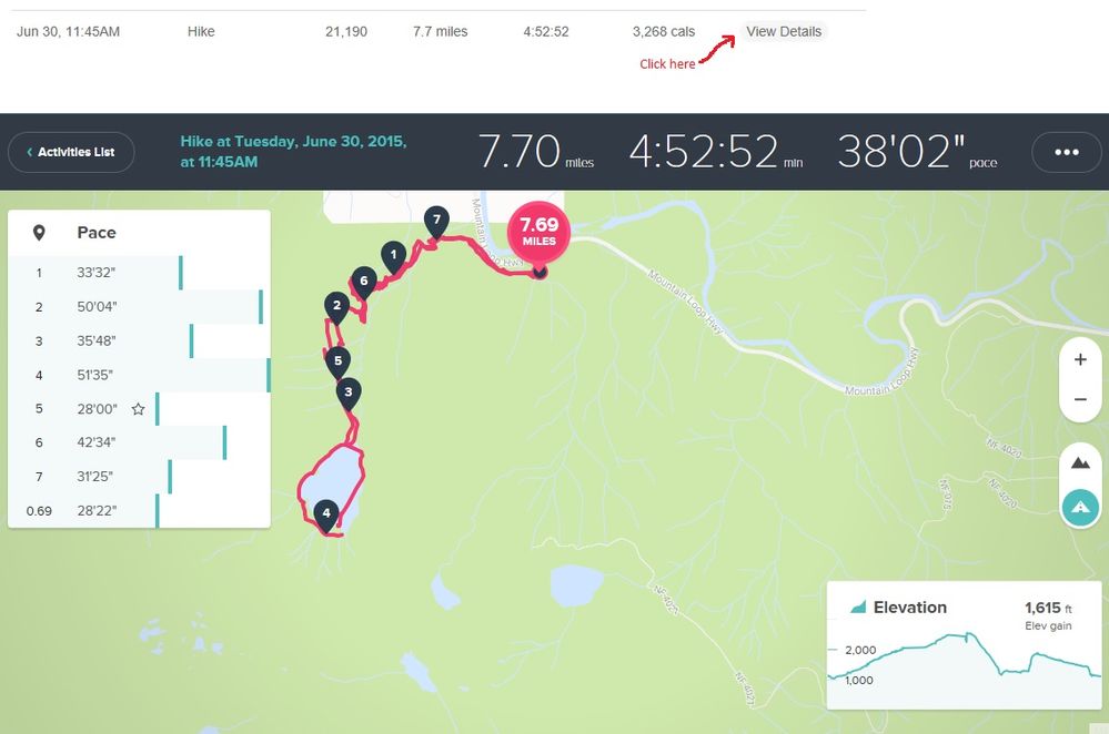 fitbit-activity-details.jpg