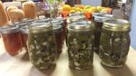 Canned-Jalapenos.jpg