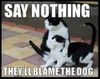 Cat-Meme-2.jpg