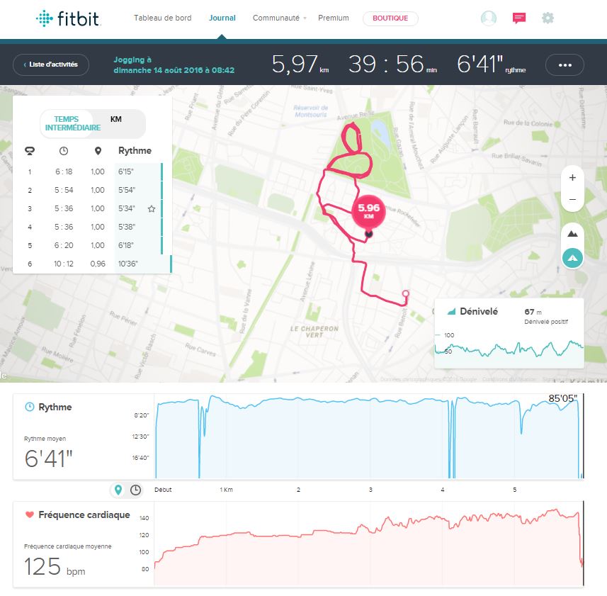 FitBit20160814.JPG