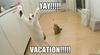 Yay-Vacation.jpg