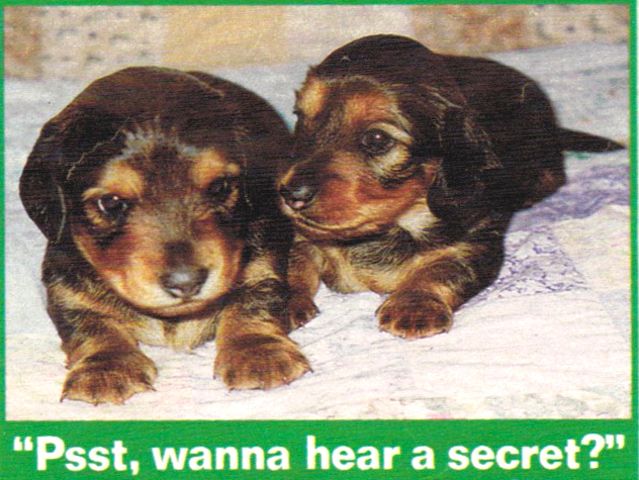 Want-to-Hear-a-Secret.jpg