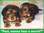 Want-to-Hear-a-Secret.jpg