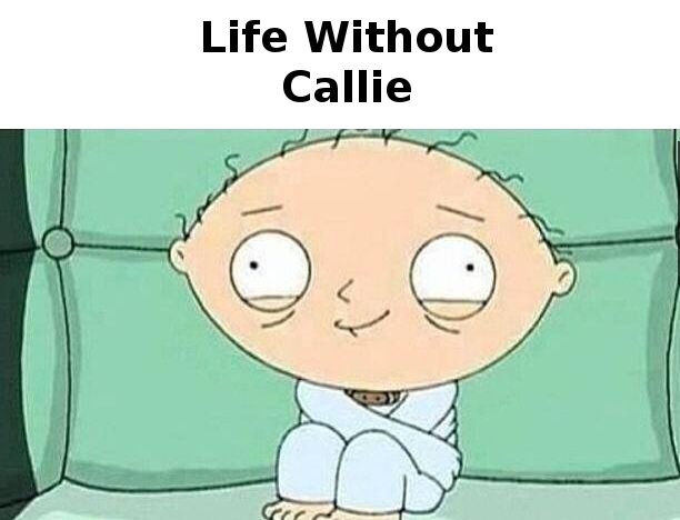Life-Without-Callie.jpg
