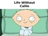 Life-Without-Callie.jpg