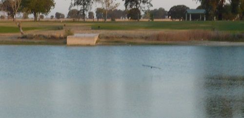 P1010619sm.jpg