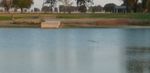 P1010619sm.jpg