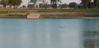 P1010619sm.jpg