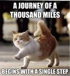Thousand Mile Journey.jpg