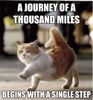 Thousand Mile Journey.jpg