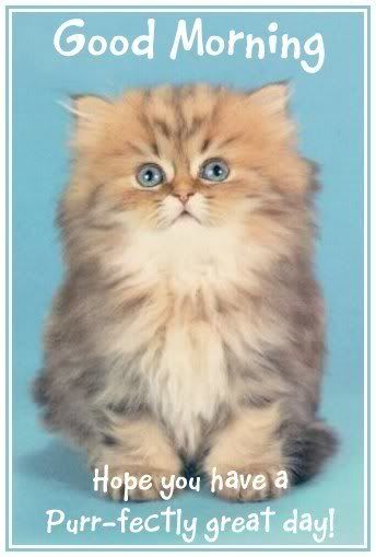 Purrfectly Good Day.jpeg
