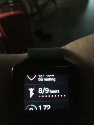 fitbit1.JPG