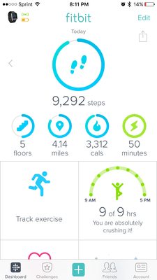 fitbit2.PNG