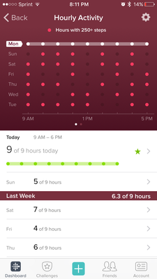 fitbit3.PNG