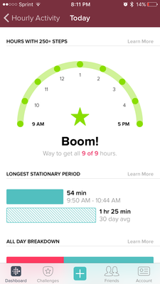 fitbit4.PNG