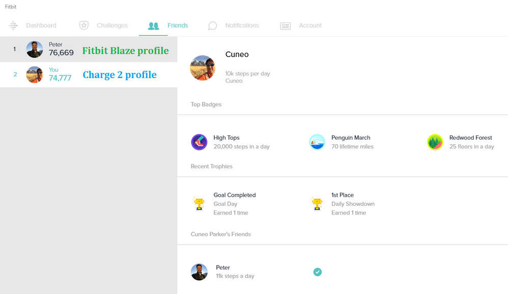 Fitbit Windows 10 app Friends list for the Blaze and Charge 2 as of 09-14-2016.PNG