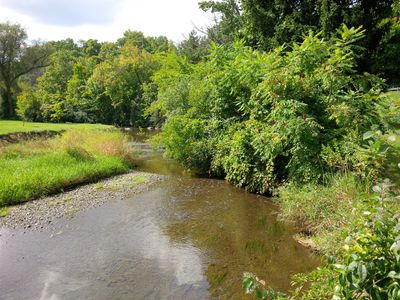 River scene