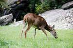 GFMount-6.jpg