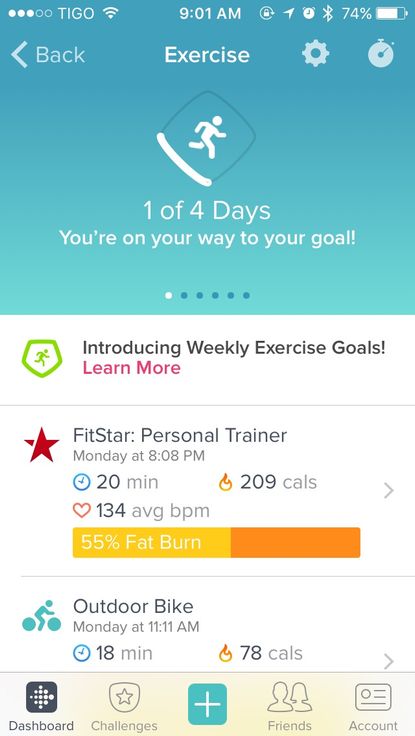 Fitstar activity Fitbit.jpg