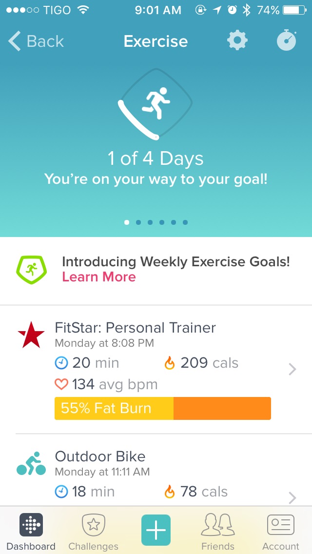 Fitstar activity Fitbit.jpg