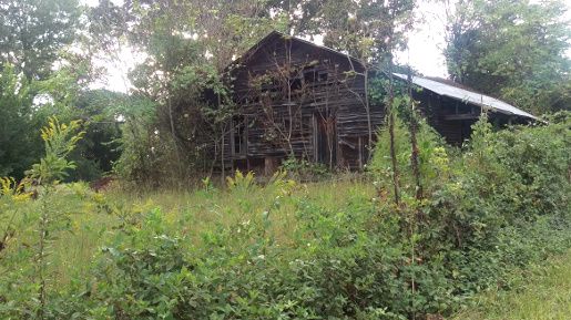 Countryside-3-House.jpg